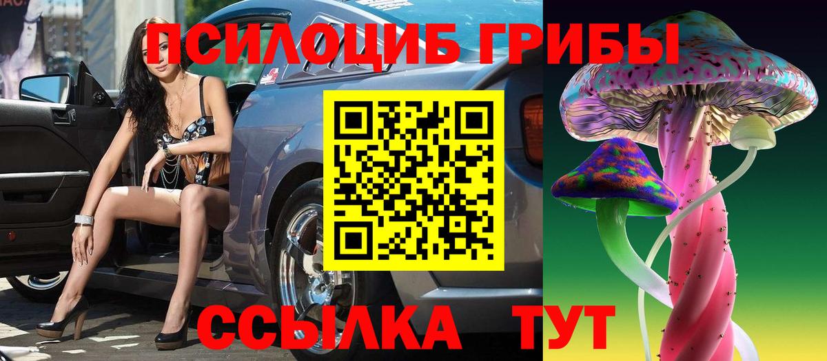 Псилоцибиновые грибы ЛСД  Вход с VPN  Галлюциногенные грибы ЛСД  Сокол 