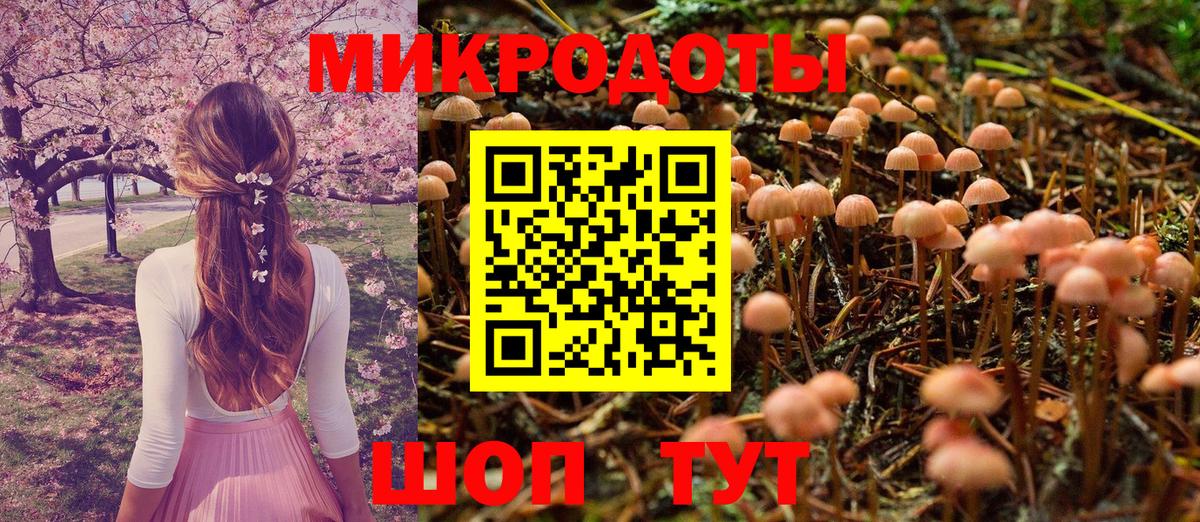 Псилоцибиновые грибы прущие грибы Сокол